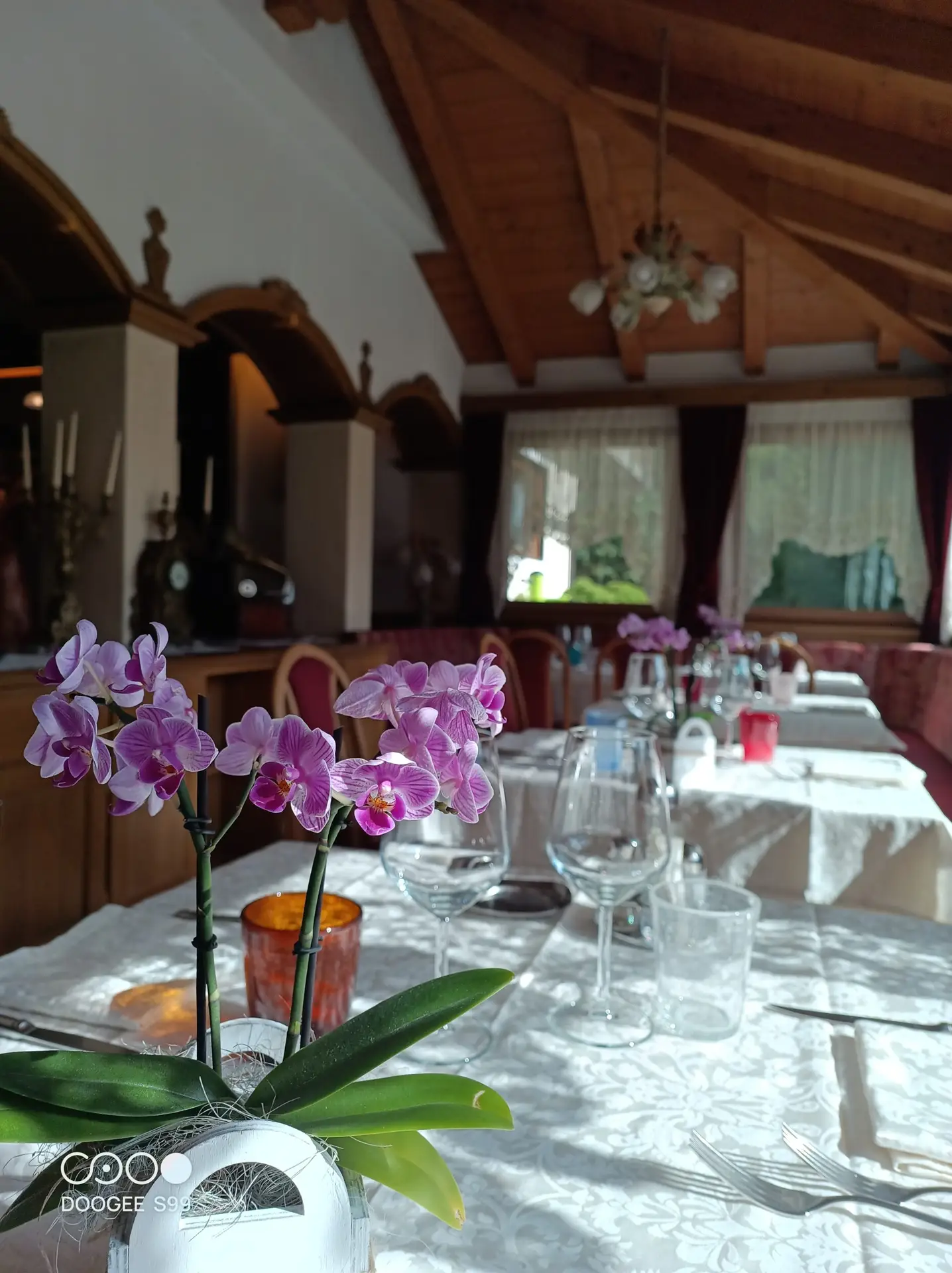 IMG_20240911_103259_661