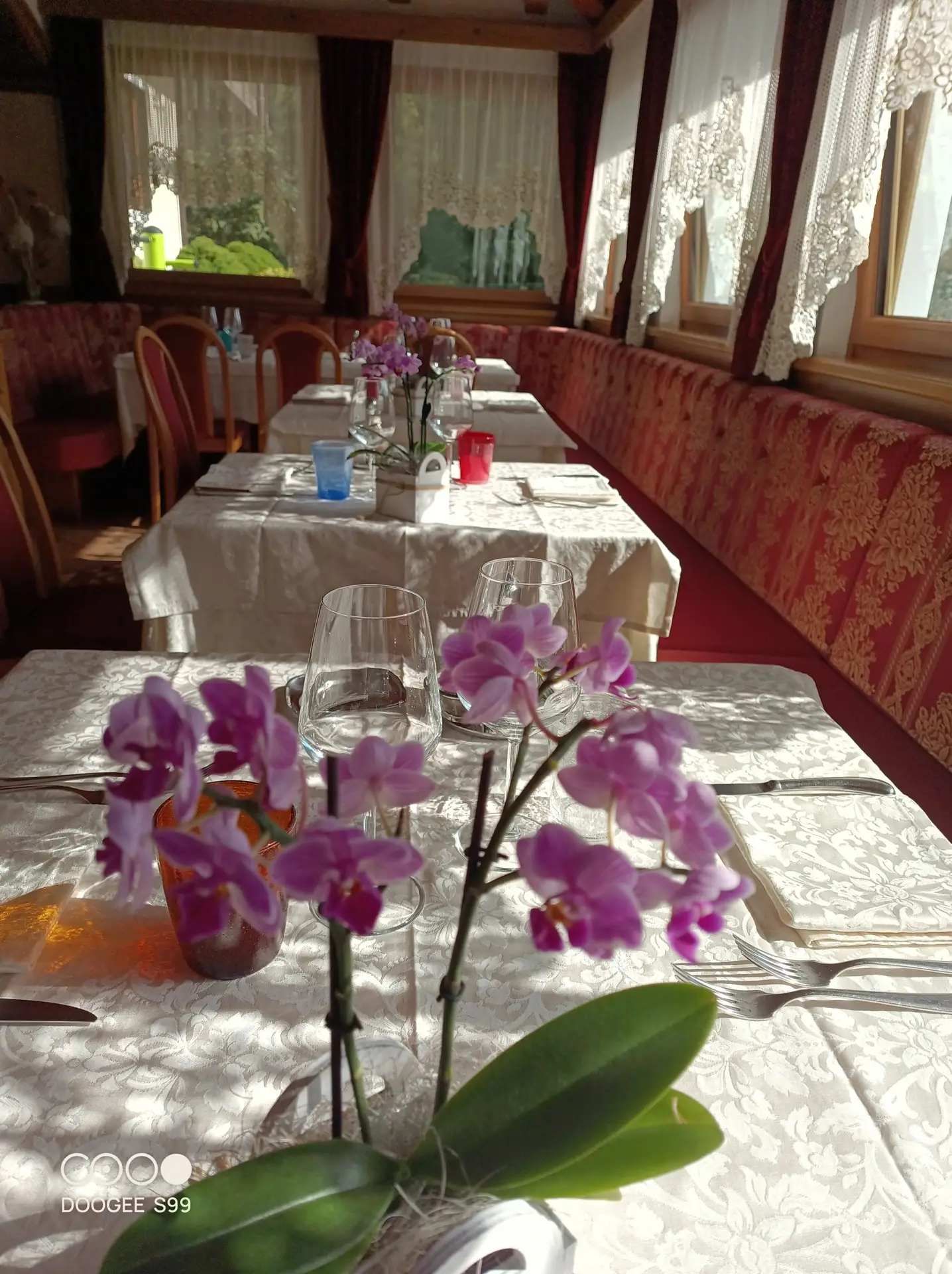 IMG_20240911_103310_283